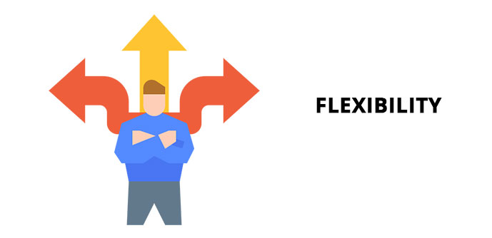 Flexibility